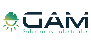 Servicios GAM